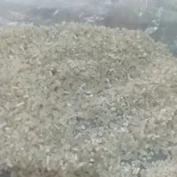 لاشه برنج فجر