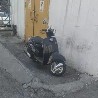 پاکشتی ورد