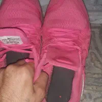 کفش فرده ای اصلی و کله شارژر اصلی|کیف، کفش، کمربند|سنقر, |دیوار