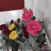 گل رز و درحد نو|گل مصنوعی|تهران, شهرک رضویه|دیوار