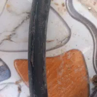 کیبل برق|ابزارآلات|شادگان, |دیوار