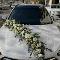 عقد و تولد|خدمات پذیرایی، مراسم|تهران, شهرک آزادی|دیوار