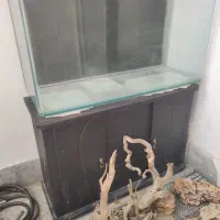 اکواریوم شرکتی دلسا همراه با میز|ماهی|مشهد, انقلاب|دیوار