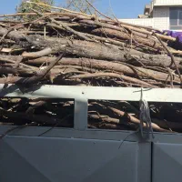 هیزم وچوب درخت