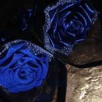 گل ربانی|گل مصنوعی|رباط‌کریم, رباط‌کریم|دیوار