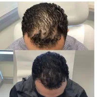 سرتو مثل جنگل میکنیم