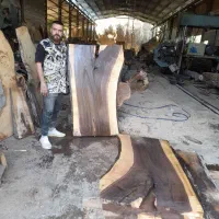 فروش عمده تخته چوب گردو با مجوز