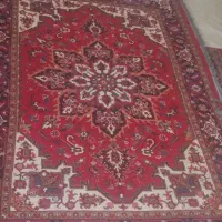 فرش دست باف ۶ متری یک تخته|فرش|اسکو, |دیوار