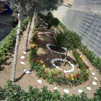 خدمات باغبانی و درختکاری سراسر کرج