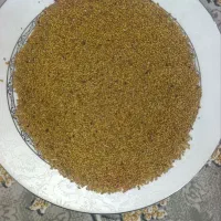 بزر یونجه درجه یک همدانی
