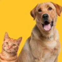 فروشنده خانم جهت پت‌شاپ،ترجیحاً محدوده نارمک، شرق