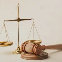 زمین املاک خانواده حضانت و...