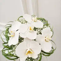 دسته گل و باکس گل طبیعی