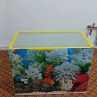اکواریوم شرکتی