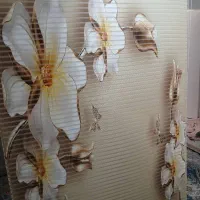 پرده زبرا دو مکانیزم