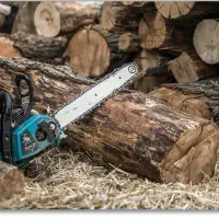 خرید انواع درخت و چوب  به قیمت روز (نقدی)|خدمات باغبانی و درختکاری|ارومیه, |دیوار