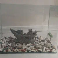 آکواریم سالم شیشه خم به همراه لوازم|ماهی|مشهد, رضاشهر|دیوار