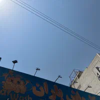 نیرو برا کارواش