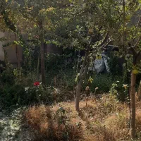 باغچه-در-رودهن-مهراباد-500متر-شش-دانگ