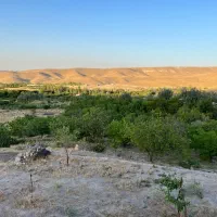 باغ عالی با ویو خاص در اسکو|فروش خانه و ویلا|اسکو, |دیوار