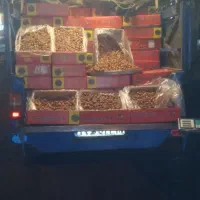 خرمای زاهدی خشک|عمده‌فروشی|میانه, |دیوار