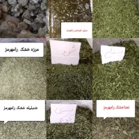 همه نوع سبزی خشک و خام رامهرمز+زغال مخصوص کبابی