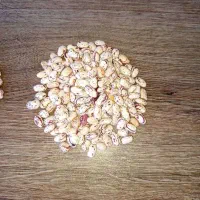 لوبیا چیتی سراب و باقالی سراب