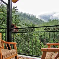 اجاره عمارت استخر رو باز ویو جنگل رودخانه تراس|اجارهٔ کوتاه‌مدت ویلا و باغ|ماسال, |دیوار