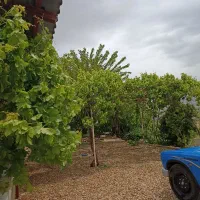 نیسان|خودرو سواری و وانت|شیراز, کوشک بیدک|دیوار