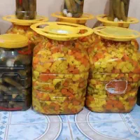تولید انواع ترشی