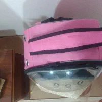 باکس پرنده