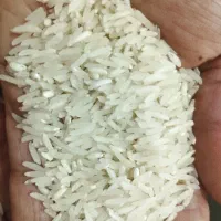 برج فجر سوزنی 120روزع اعلا شمال|خوردنی و آشامیدنی|بندرعباس, |دیوار