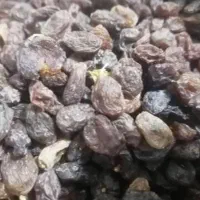 بورس مویز و کشمش آفتابی شیراز، تاکستان و ملایر|عمده‌فروشی|اهواز, سلطانمنش|دیوار