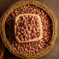 حبوبات|خوردنی و آشامیدنی|شاهین‌شهر, شهرک میلاد|دیوار