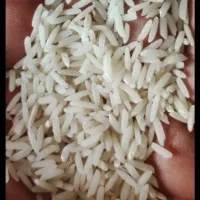 بازرگانی برنج علیزاده|خوردنی و آشامیدنی|قائم‌شهر, |دیوار