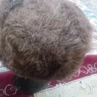 کلاهبرهایکاملاسالماستفادهنشده