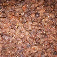 کشمش افتابی.