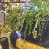 فرز همه کاره شارژی تروتک المان|ابزارآلات|تهران, شهرک هما|دیوار