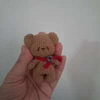 جاسوییچی خرس