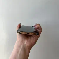 اپل ۱۳ پرومکس