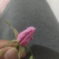 نهال گل محمدی اردهالی|خدمات باغبانی و درختکاری|کاشان, بازار کاشان|دیوار