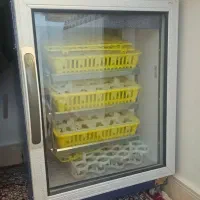 دستگاه جوجه کشی بلدچین دماوند۱۲۶تایی