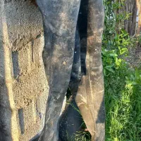 لباس ضد آب ماهیگیری