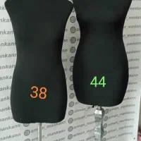 مانکن سوزن واتوخور فوم سرد از تولیدی  مطالعه آگهی