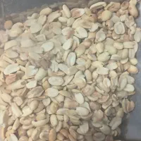 بادام زمینی کره گیری هندی تک و دوآتشه و کره بادام