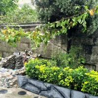 ویلا یوکا / در قلب شهر تنکابن|اجارهٔ کوتاه‌مدت ویلا و باغ|تنکابن, |دیوار