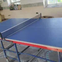 میز پینگ پونگ