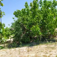 فروش باغ ویلایی|فروش خانه و ویلا|بوانات, |دیوار