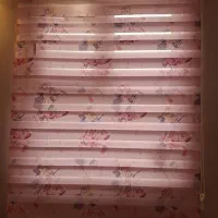 پرده زبرا