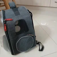 باکس‌سگ‌و‌گربه